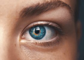 trasplante-cejas